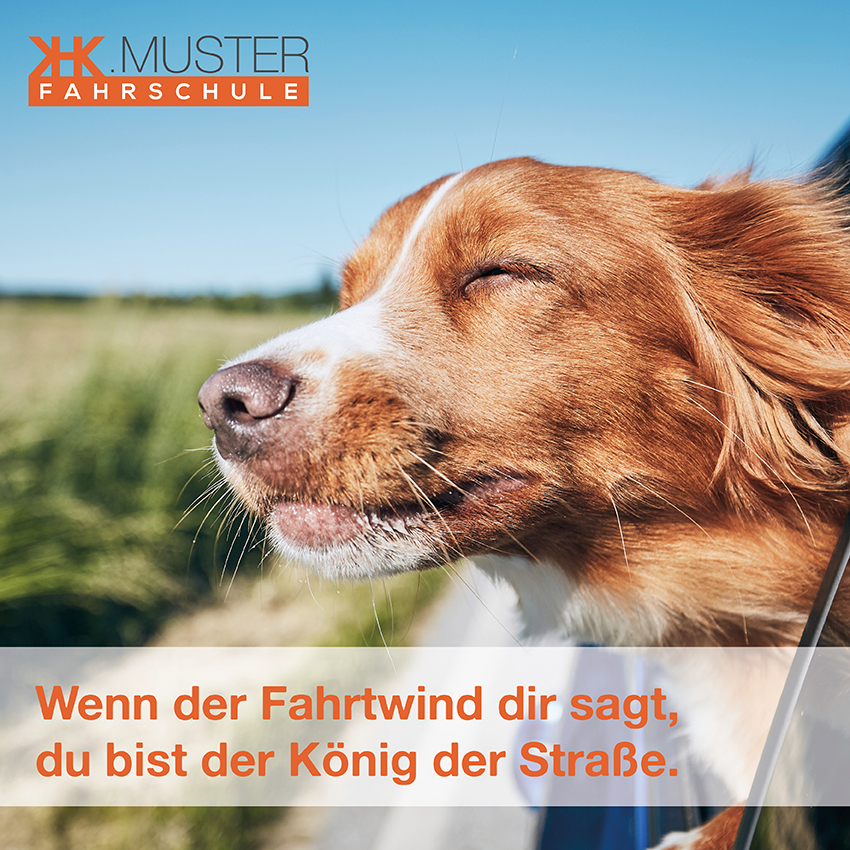 Fahrtwind