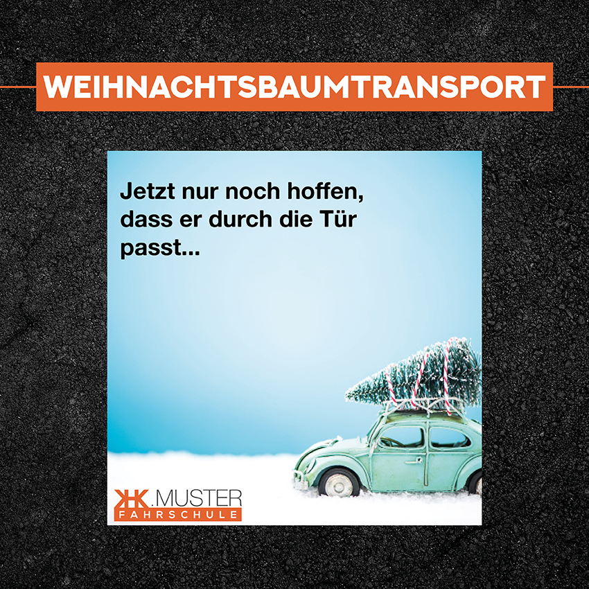 Weihnachtsbaumtransport